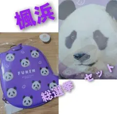 新発売　アドベンチャーワールド　パンダ　クッション　浜家 ダイカットケース 新発売 アドベンチャーワールド パンダ クッション 浜家 ダイカットケース