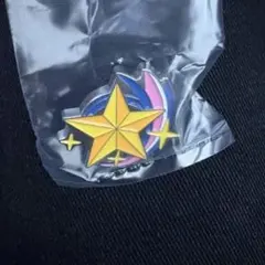 アイカツ！スターライト学園校章ピンズコレクション