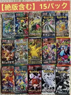 ポケモンカードバラエティセット【絶版品含む15パック】⓽