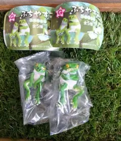 カプセルトイ　ふちやすみアマガエル　『すわり　うでくみ』2種セット　未使用品☆