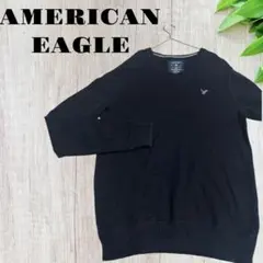 AMERICAN EAGLE OUTFITTERS ニット Vネックセーター 紺