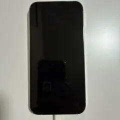 iPhone13Pro ケース付き