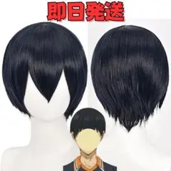 2026年最新】影山飛雄ウィッグの人気アイテム - メルカリ