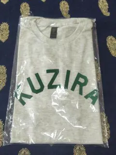 Item thumbnail for item 6abe1ea4-7b8a-477d-8436-376e06c04846