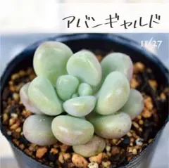 きよっさん様 リクエスト 2点 まとめ商品