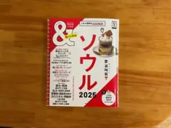 &ソウル 2025 旅行ガイド
