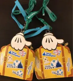 ディズニーバケーションパッケージ　パスケース2個セット