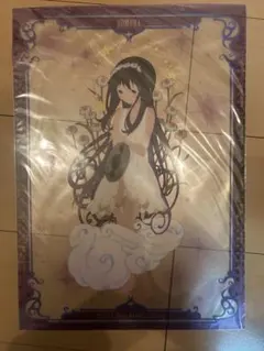◆未開封◇暁美ほむら A3サイズ クリアポスター 魔法少女まどか☆マギカ◆