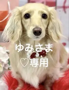 ゆみさま♡専用