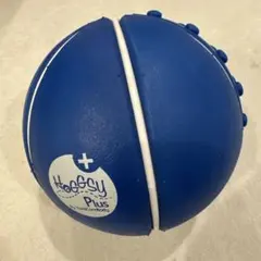 Hoggy Plus エクササイズボール 青