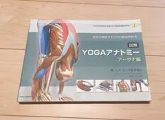 YOGAアナトミー　アーサナ編