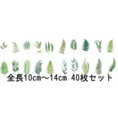 リーフステッカー 40枚 10～14cm シール コラージュ 葉っぱ GS02