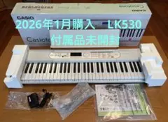 2026年最新】LK-60 CASIOの人気アイテム - メルカリ