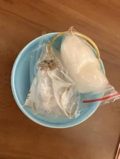 Item thumbnail for item 9091d173-fbe2-4b82-bd5b-633630b0a55a