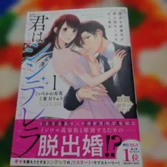 君はシンデレラ～孤高な御曹司が絶え間なく愛を注ぐ理由～【財閥御曹司シリーズ】 1