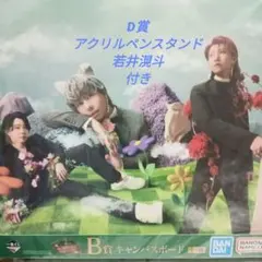 Mrs. GREEN APPLE 1番くじB賞 D賞