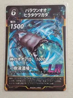 2026年最新】パラワンオオヒラタクワガタ 虫の人気アイテム - メルカリ