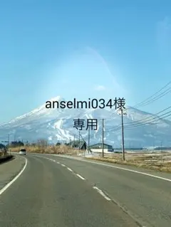anselmi034様専用ページ