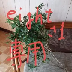 大人気❗アセビ切り枝90センチ前後5本