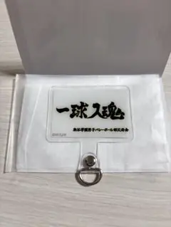 ピカぴかちゅう様 リクエスト 2点 まとめ商品