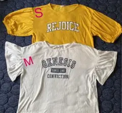 Tシャツ   ハニーズ   2枚set   SとM