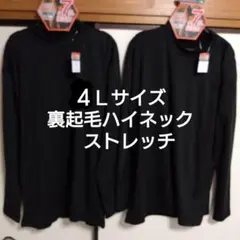 Item thumbnail for item 9bacafe5-1f88-43a6-a290-455bd8c90b29