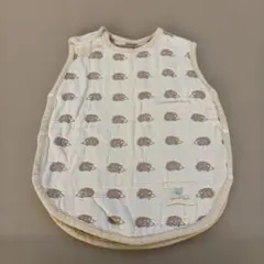 Item thumbnail for item caa3a3ae-28eb-49fb-a701-6ee93307ab29