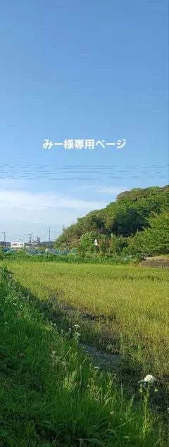 みー様専用ページ