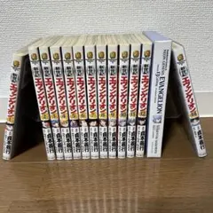新世紀エヴァンゲリオン 全巻セット 1〜14巻