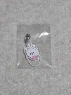 straykids スキズ ペンミ 入場特典 ジニレット キーホルダー