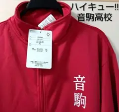 京都大学 ロゴ ウィンドブレーカー コスプレ劇用 海外旅行 登山