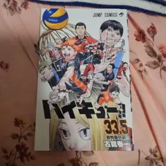 ゴミ捨て場の決戦　映画　ハイキュー　特典