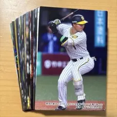 阪神タイガース プロ野球チップス カード 40枚セット