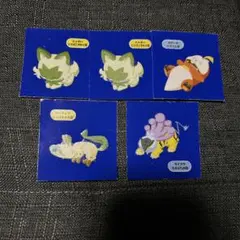 포켓몬 판실 5종 세트