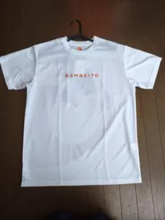 参政党 春のBan政り ホワイト Tシャツ