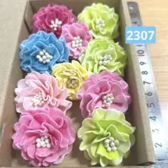 ソラフラワー　2307