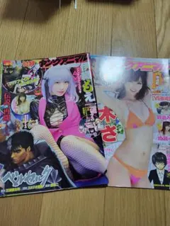 ヤングアニマル　表紙グラビアページ切抜　伊織もえ/吉木りさ/なな茶等　2種セット