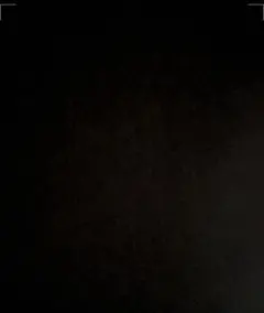なかなかいいな様　専用