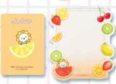 jochum ジェオチャム 硬質ケース Bira