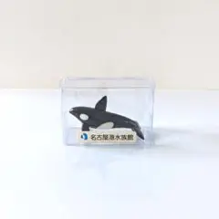 【名古屋港水族館限定】シャチ ガラス細工 置物のサムネイル