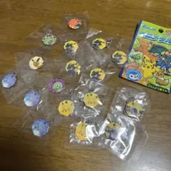ポケモン ミニメタル２