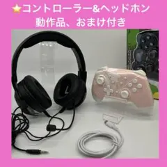 【希少】コントローラー（イヤホンジャンク）　＆　ヘッドセット　Switch