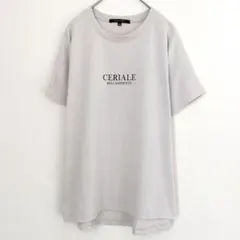 アクアヒストリー　Tシャツ　ドルマンスリーブ風　クルーネック　ライトグレー　Mのサムネイル