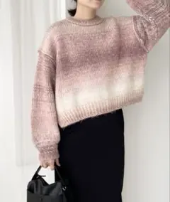 LOWRYSFARM グラデーションニット ショート丈