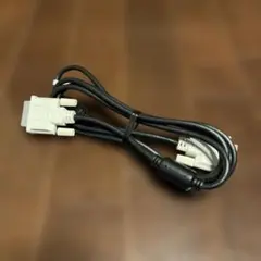DVI-D dual link cable for video output