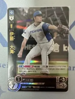 指名打者ディーエイチ様 リクエスト 2点 まとめ商品