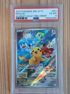 サフール様 リクエスト 2点 まとめ商品