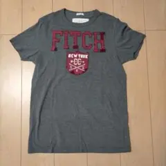 Abercrombie & Fitch アバクロ グレー メンズTシャツ S