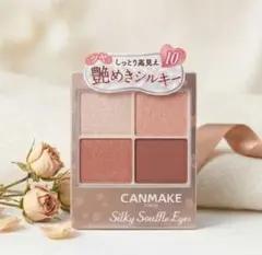 CANMAKE シルキースフレアイズ 10
