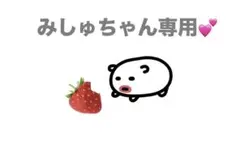 みしゅちゃん専用